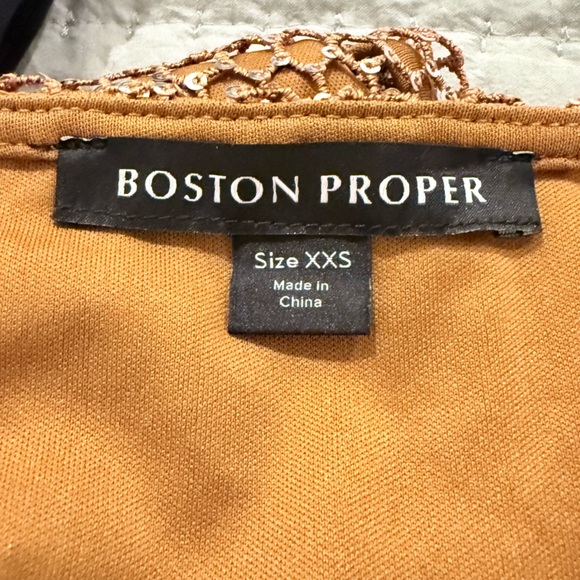 Boston Proper Shimmer Mesh Fringe - Gold Metallic - Glam Party Dress Size XXS - Picture 10 of 10